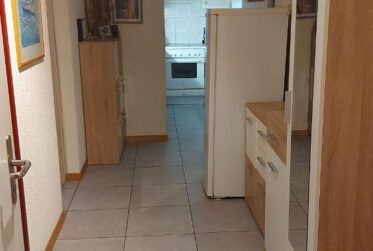 Joli 2.5 pièces avec terrasse et accès au jardin / Centre ville