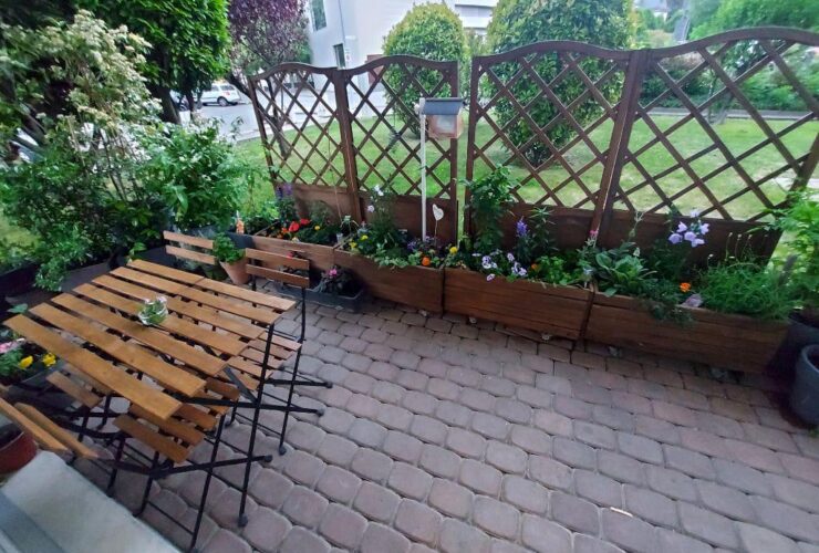 Joli 2.5 pièces avec terrasse et accès au jardin / Centre ville