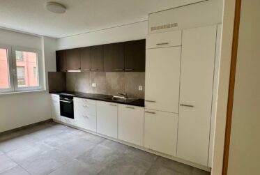 Spacieux 4.5 pièces entièrement rénové au centre ville Martigny